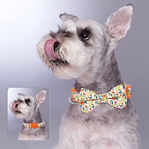 Didog Floral Dog Collar With Bow, Cute Girl Dog Collars With Detachable Bowtie, Soft & Comfy Spring Summer Dog Collar For Small Medium Large Dogs Gift Holiday, Orange, S #TOP1