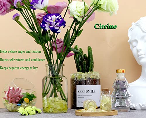Image of Citrine Aquarium Gravel Rocks Natural Tumbled Healing Crystal Chips Bulk Gemstones Tumbled Crushed Stones for Fountain Vase Filler Planters Decorative Fish Tank Potted Reiki Energy Balancing 0.44lb