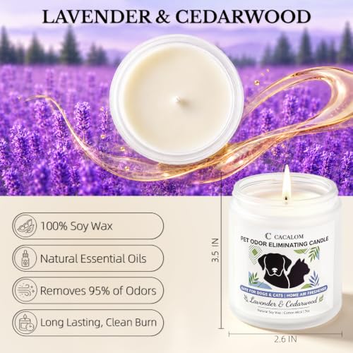 Image of Pet Odor Eliminating Candle, Lavender & Cedarwood, Soy Wax, 7oz | Helps Eliminates 95% Pet Odors, 50Hr Burn, Pet Friendly Candles, Perfect for Living Rooms & Pet Zones, Gift for Pet Owners