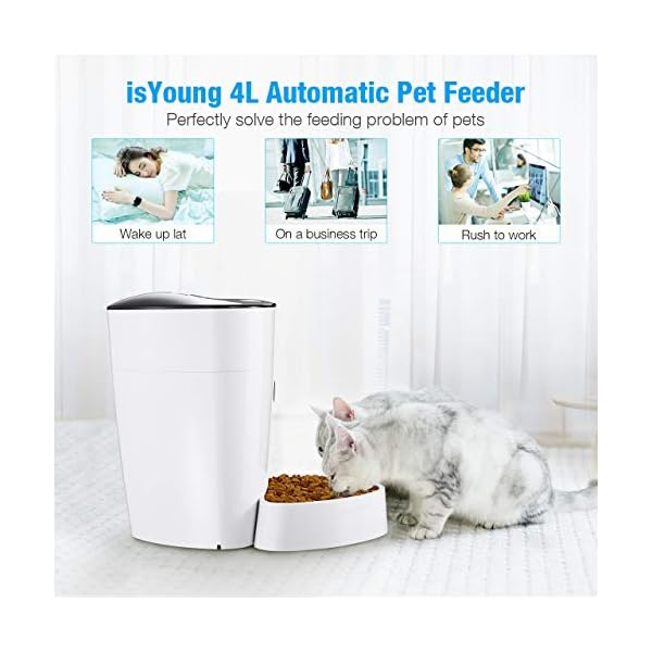 isYoung Automatic Cat Feeder, 4L Smart Pet Feeder for Cat & Dog 6