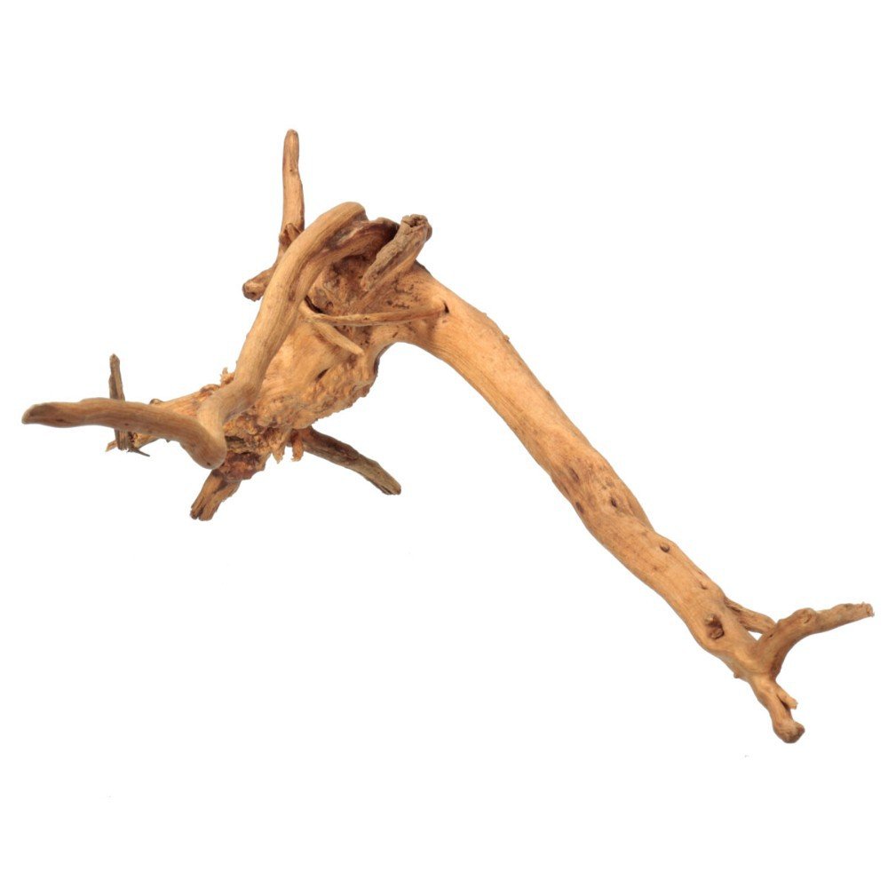 Legno Naturale Per La Decorazione Dell'Acquario, 5-20cm Paesaggio Naturale Driftwood Decorazioni Per Acquario Decorazione Della Radice Dell'Albero Di Legno