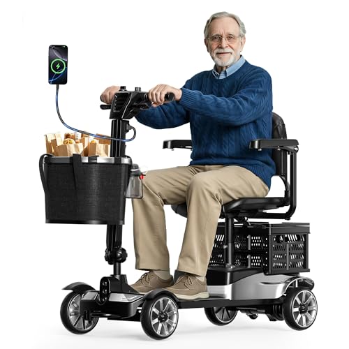 BIQISSI Mobility Scooter for Adults, 4 Wheel Motorized Mobility Scooter w/Storage Basket, 350LBS Capacity & Detachable Battery, 15Miles Electric Powered Mobility for Outdoor (Silver, 15 MI)