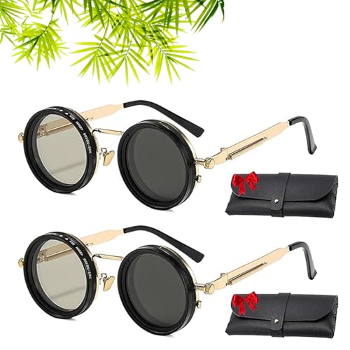 Visionguard Nd Sunglasses - Visionguard Nd Filter Sunglasses, Retro Metal Round Glasses