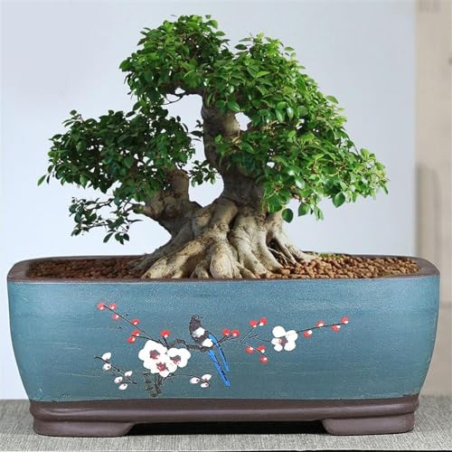 Vase de sol en porcelaine centre de table cadeau violet
