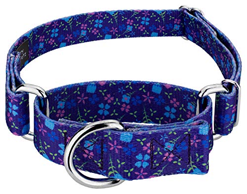 Country Brook Petz Martingale Dog Collar - Heavy-Duty Training Collar - Vibrant Floral Collection with Charming Designs - Blueberry Fields, Medium