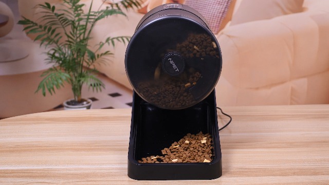 NPET 3L Automatic Cat Feeder, Wheel Shaped Dry Food Dispenser Timed Pet Feeder for Cats and Small Dogs, 1-6 Meals Per Day - Programmable Portion Control (Black, Basic Version) - image 7