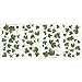 RoomMates RMK1219SCS Evergreen Ivy Peel and Stick Wall Decals