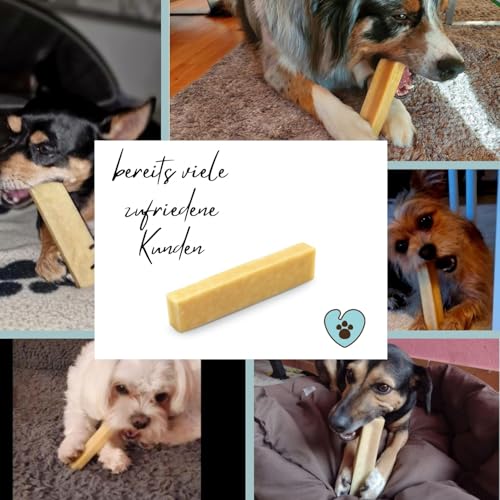 6 Stück PetLove Hartkäse für Hunde • 100% natürlicher Kauknochen aus Käse • Kaukäse Hund • Kauspaß & Zahnpflege • Ideal für unterwegs • 6er Pack • Größe XS: 10-30g