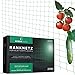 RASENWERK® - Ranknetz 2x5m Rankhilfe mit großen Maschen - Perfekt für Gurken, Tomaten und Kletterpflanzen - Ideal für Gewächshaus - Pflanzennetz, Pflanzenhalter, Kletternetz grün - 2m x 5m
