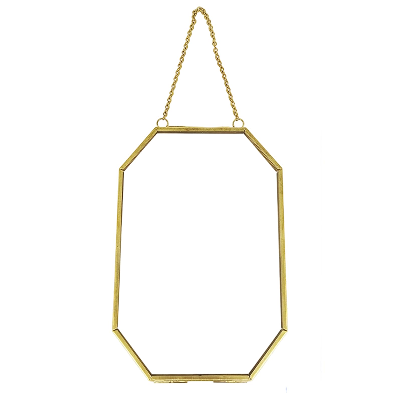 Tizuqe Glass Pressed Flower Frame Tabletop Hanging with Metal Chain for Gallery Artwork Glass Pressed Flower Frames Wall Hanging Photo Frame