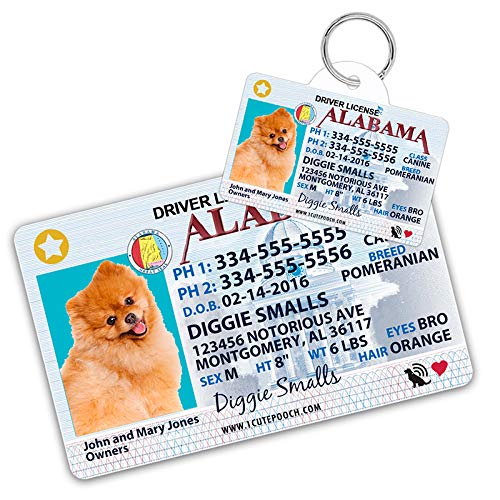 1 Cute Pooch Alabama Driver License Custom Dog Tag for Pets and Wallet Card - Personalized Pet ID Tags - Dog Tags for Dogs - Dog ID Tag - Personalized Dog ID Tags - Cat ID Tags - Pet ID Tags for Cats