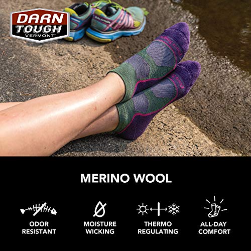 Image of Darn Tough Women's Light Hiker No Show Lightweight Hiking Sock (Style 1986) -