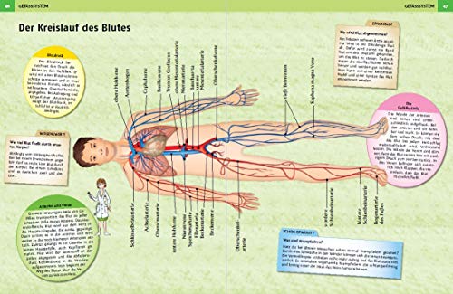 Großer Körperatlas: Eine faszinierende Reise durch...