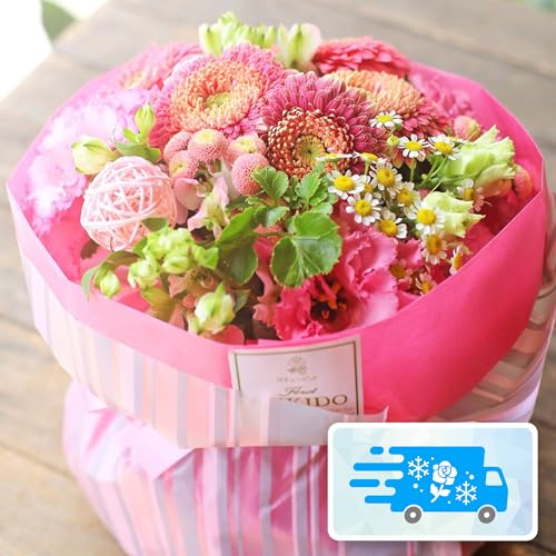 yNx̂܂܁z[b܎܃fUCi[ďC]   ԑ u[P LTCY (sN) (c/hV̓/Mtg/bsOĂ͂/a/LO/j) [`s̉ԉ t[Xg]