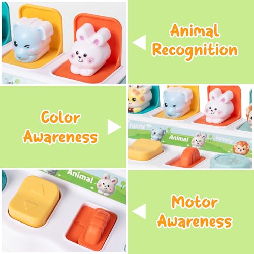 Image of Animals Pop Up Toy - Interactive Funny Activity Pop Up Toys Early Learning Montessori Developmental Cause and Effect Color Sorting for Toddlers 18 Months+ Boys Girls