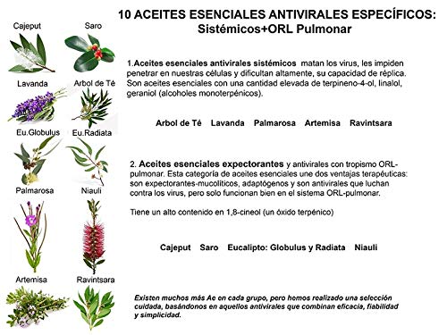 SPRAY ANTIVIRICO DESINFECTANTE GARRAFA PET 3L 100% NATURAL-10 Aceites Esenciales.Limpiador Hidroalcohólico 100% Eficaz. Piel, textil, Multisuperficie.