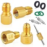 Boltigen R1234YF Refrigerant Tank Adapters, R12 to R1234YF Adapter Connector, 1/2 LH...