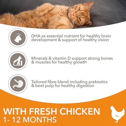 IAMS Kitten Complete Dry Cat Food Chicken 10kg - For Healthy Growth - Image 3