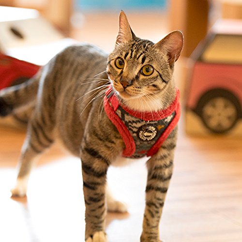 Catspia Penelope Harness C - Red - M #TOP4