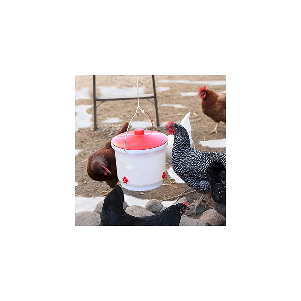 FARM INNOVATORS HB-60P Heated Poultry Drinker with Drip