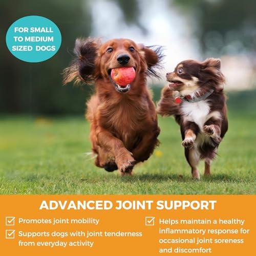Image of Progility Mini Hip & Joint Supplement for Small to Medium Dogs - Daily Mobility & Joint Support with Glucosamine, Chondroitin & MSM, Soft Chews (60 Count)