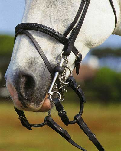 Windsor EquestrianPelham Roundings Pair