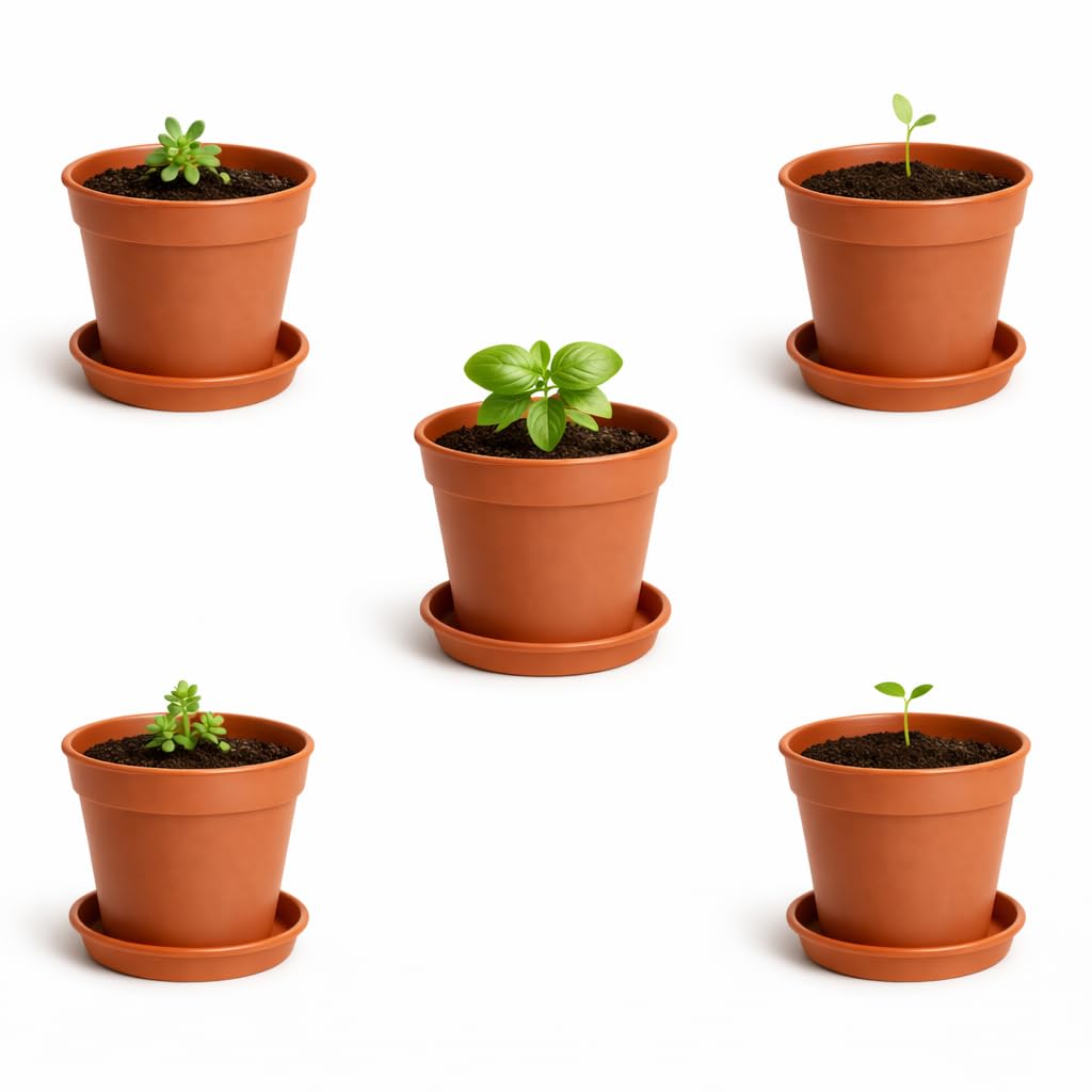 Accurate Terracotta 5 Inch Plant Pots & Saucers Set (5 Pots + 5 Saucers) – Ideal For Cuttings, Seedlings & Indoor Plant Growing