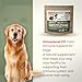 Dog Supplement Powder | Fermented Wheat Germ Extract | Boosts Immunity, Gut Health & Energy | Natural Pet Supplement for All Dog Ages | Non-GMO, Vet Trusted, Safe Formula- 90g