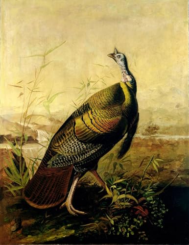 Pintura del pavo salvaje de Audubon en lienzo moderno de 60x90cm para dar vida a paredes vacías