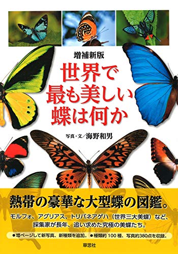 無料電子書籍 pdf 増補新版 世界で最も美しい蝶は何か バイ