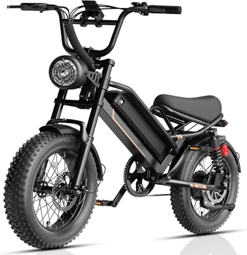 Jasion Electric Bike for Adults Teens YR16, Peak 1000W Electric Bicycle, 48V 12.5AH Battery Dirt Bike with Dual Suspension & Cruise Control, 16