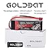 GOLDBAT 14.8V 2200mAh 50C 4S LiPo Battery with T Plug and XT60 Connector for RC Evader BX Car RC Truck RC Truggy RC Heli Airplane UAV Drone FPV Racing