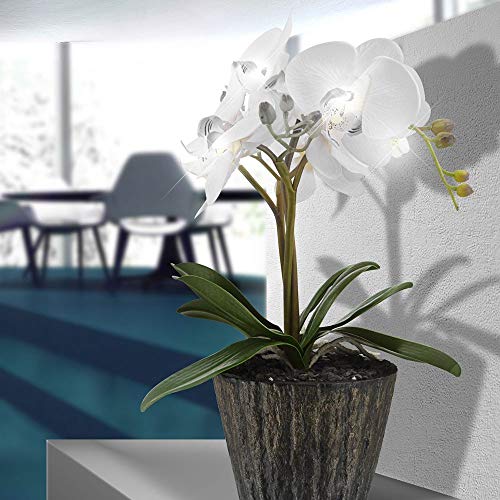 Globo 28002 Flower Power Light Fitting, plastica