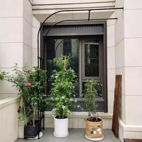 Treillis en arche cintrée pour guider vos plantes grimpantes