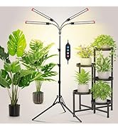 Amazon.com : JINHONGTO Grow Light with Stand and Timer 4,8,12,16