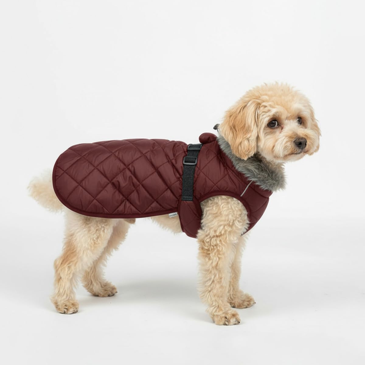 Winter Jacket for Medium Small Dogs, Waterproof Dog Coat with Fur Collar, Reflective Fleece Lined Doggy Clothes with Elastic Strap, Cold Weather Pet Outfit, Boy & Girl Puppy Overalls,Size M