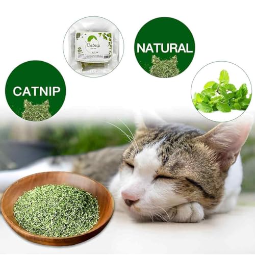 20 Packungen Premium Katzenminze, Natürliche Catnip Katzengras, Schonend Getrocknete Katzenminze, Katzenminze Getrocknet, Verwendet Als Snack Für Füllung Katzenspielzeug, 40g