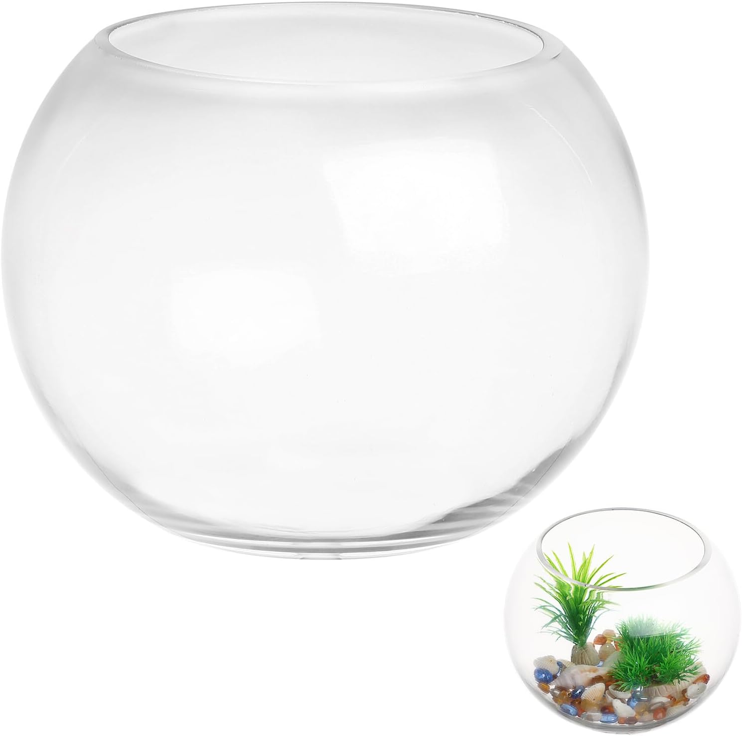 BESPORTBLE Glass Fish Bowl Aquarium Round Desktop Fish Tank with Hydroponic Plant Holder for Office and Living Room Décor 20cm Diameter