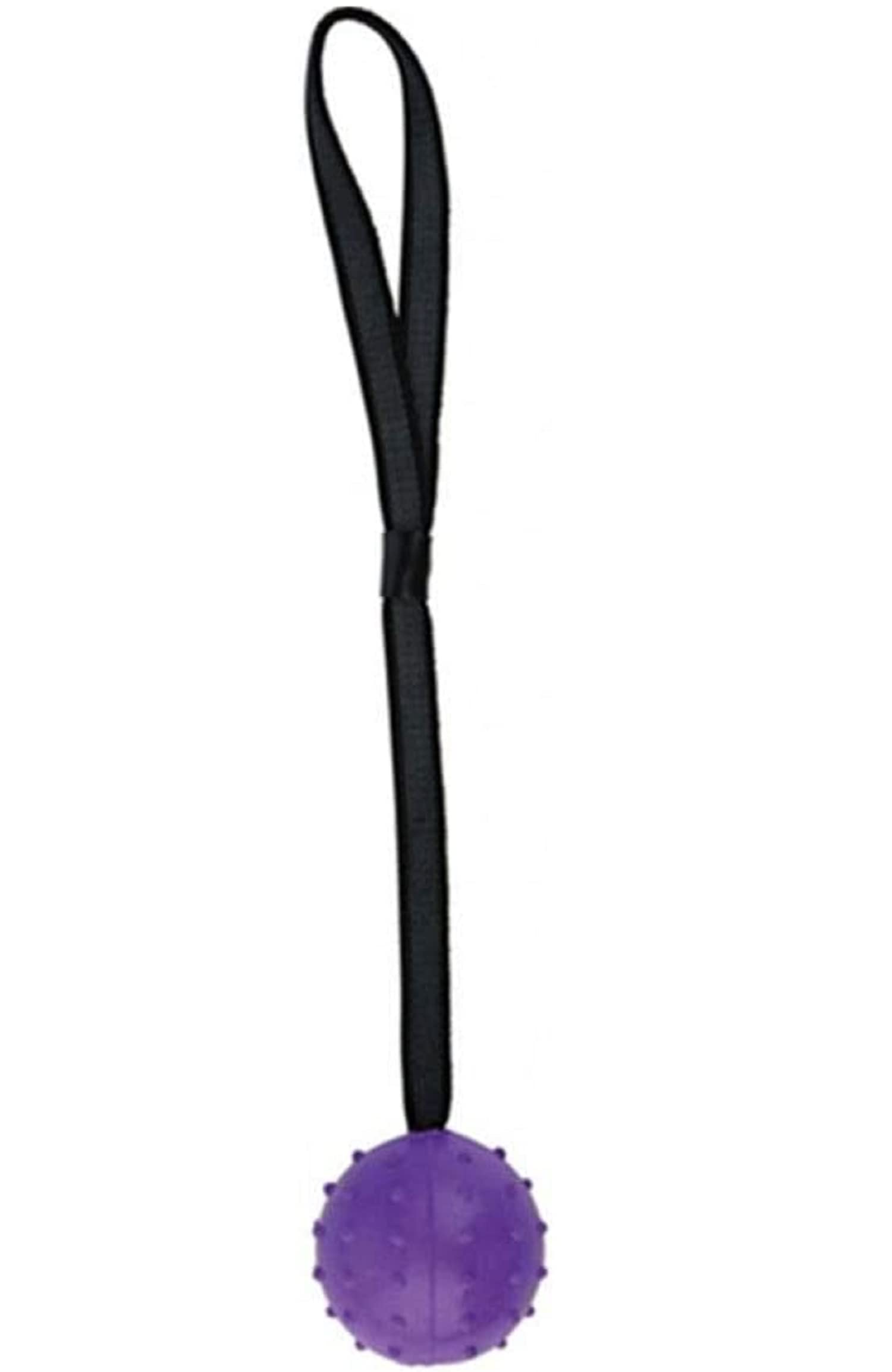 emily pets Dog Rubber Ball on Rope Toy Interactive Dog Training Spike Ball Dog Toy Ball on Rope and Exercise Toy for Small Medium Large Dog Fetching, Catching, Throwing and Tugging(M,Voilet) (B08TTHC4XS) Amazon Price History, Amazon Price Tracker