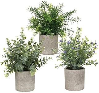 3 Sets Decorative Artificial Plants,Green Plants Indoor Real BoomOutdoors Large PottedEucalyptus,Rosemary and Gypsophila for Living Room Garden Decoration Bathroom,Bedroom,Kitchen,Office Desk PlantA