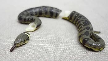 チョコエッグ日本の動物ツチノコ チョコエッグ日本の動物ツチノコ - メルカリ