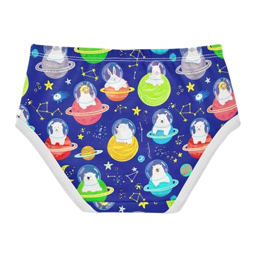 Joisal Cute Animals Planet Blue Panties Little Girl Girls Underwear Toddler Cotton Cartoon Undies Kids Briefs 2t2