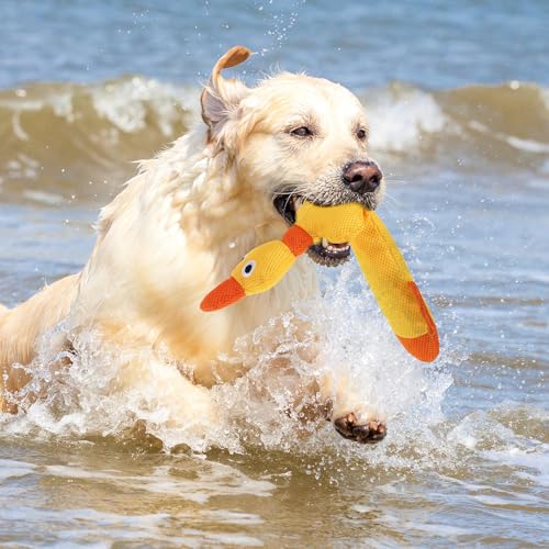Image of Mihachi Floating Dog Water Pool Toys 2 Pack for Swimming Pool, Interactive Crinkle Pet Puppy Chew Toys for Play and Training, Funny Duck Toy for Small Medium Large Breed, Wild & Yellow Duck