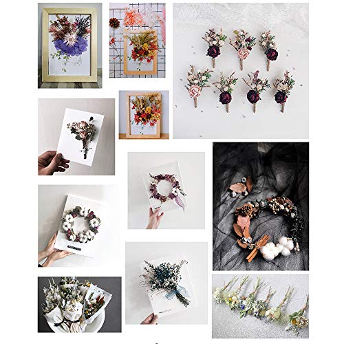 3 cajas de flores secas prensadas para decoración DIY miniatura 3