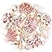 Natural Sea Shell Mixed Ocean Shells Set, 0.8"-2.5" Various Sizes Seashell, Scallop & Conch Shells for Beach Themed Decor, DIY Crafts, Vase Fillers, Fish Tank, Home, Wedding and Party Decoration