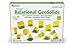 Learning Resources Relational Geosolids (Set of 14)