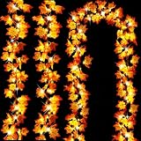 DIELOVEHUA 1 Piezas Hoja de Arce Luz Cadenas, 3 Metros 20 LED Luces de Cuerda de Hoja de Arce, Hojas Otoño Decoracion Guirnalda de Luces para Fiestas de Otoño, Halloween, Navidad, Acción de Gracias