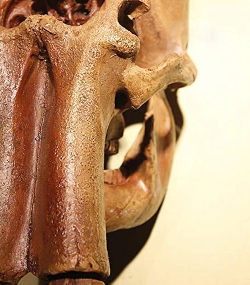 人形 置物 彫刻 マンモス 高砂人形 老夫婦像 彫刻 置物 マンモス 光月 - メルカリ