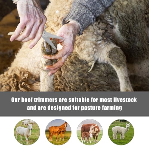 image for PEUTIER Goat Hoof Trimmers, Stainless Steel Hoof Trimming Tool with Sp