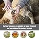 PEUTIER Hufschneider für Ziegen, Hufschneidewerkzeug aus Edelstahl mit Federhufschere, Schafnagelknipser für Schweine, Pferde, Vieh